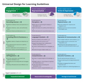 Universal Design for Learning Guidelines (website link)